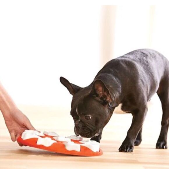 Outward hound Dog Smart Hide, Seek & Treat! skill level 1 puzzle - Picture 2 of 13